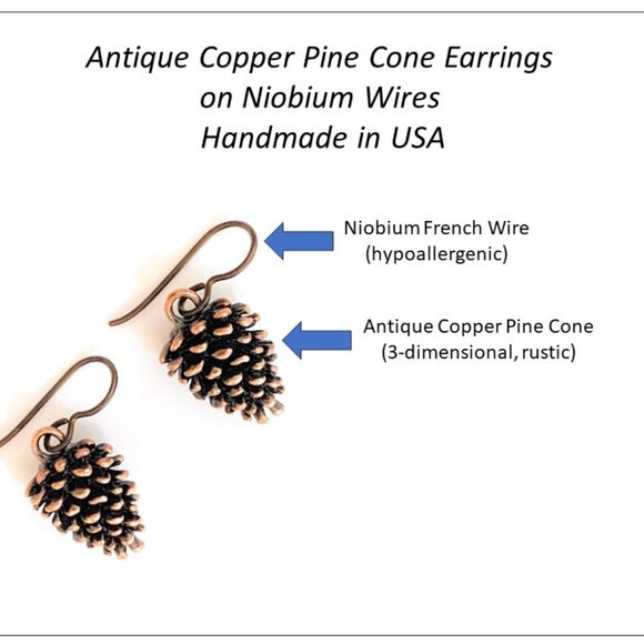 Pine Cone Earrings Hypoallergenic Niobium Wires for Women Jewelry Gifts Handmade - Picture 2 of 4
